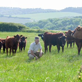 J & E Hall condensing units installed in dry-ageing room